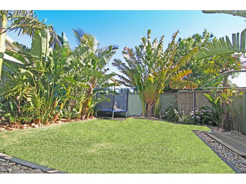 Image of backyard