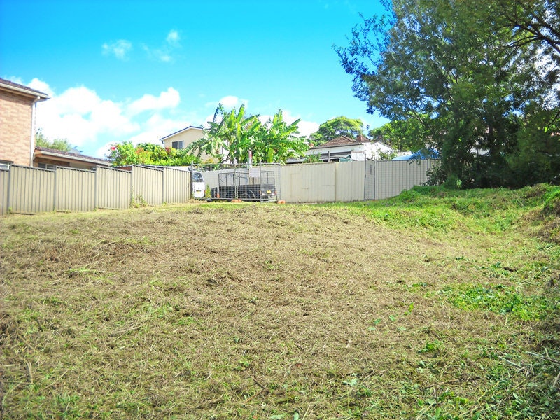 Image of backyard