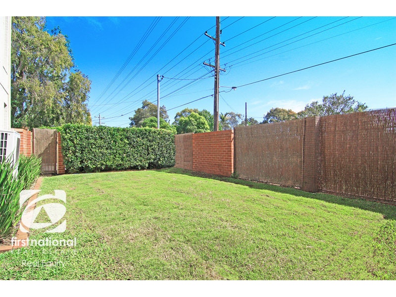 Image of backyard