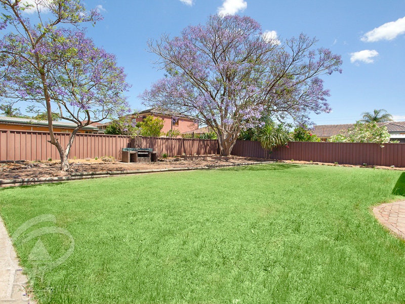 Image of backyard