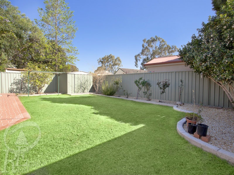 Image of backyard