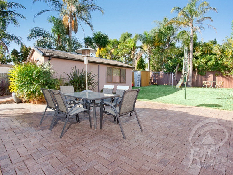 Image of backyard