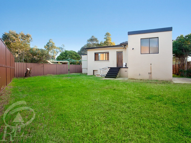 Image of backyard