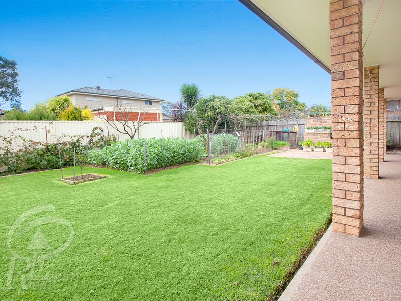 Image of grass