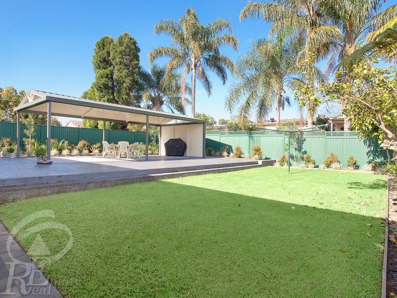 Image of grass