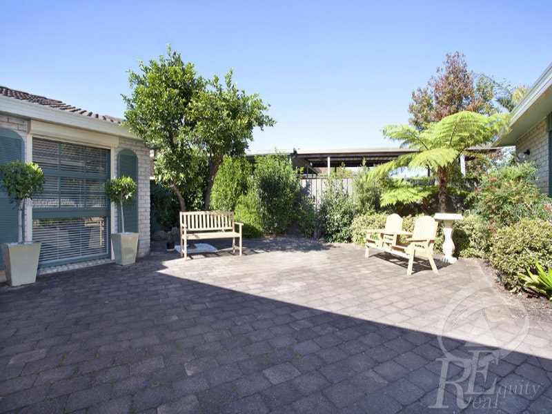 Image of backyard