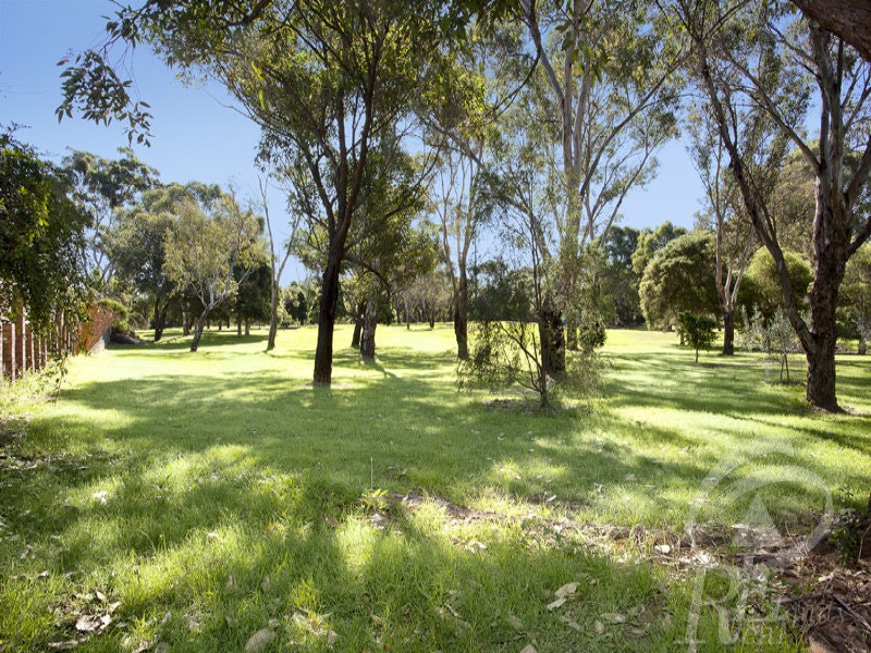 Image of grass