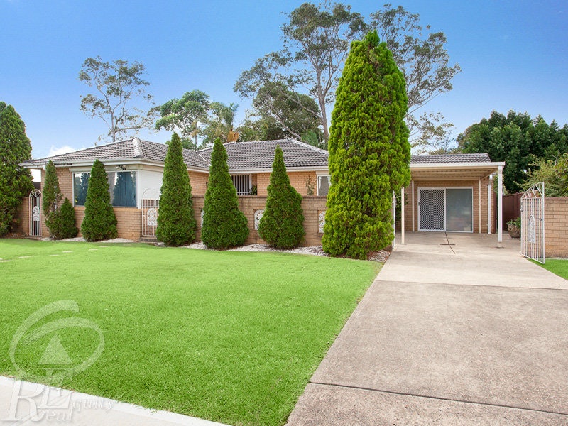 Image of grass