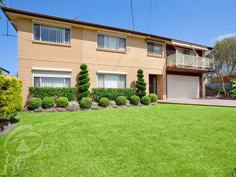 Image of grass