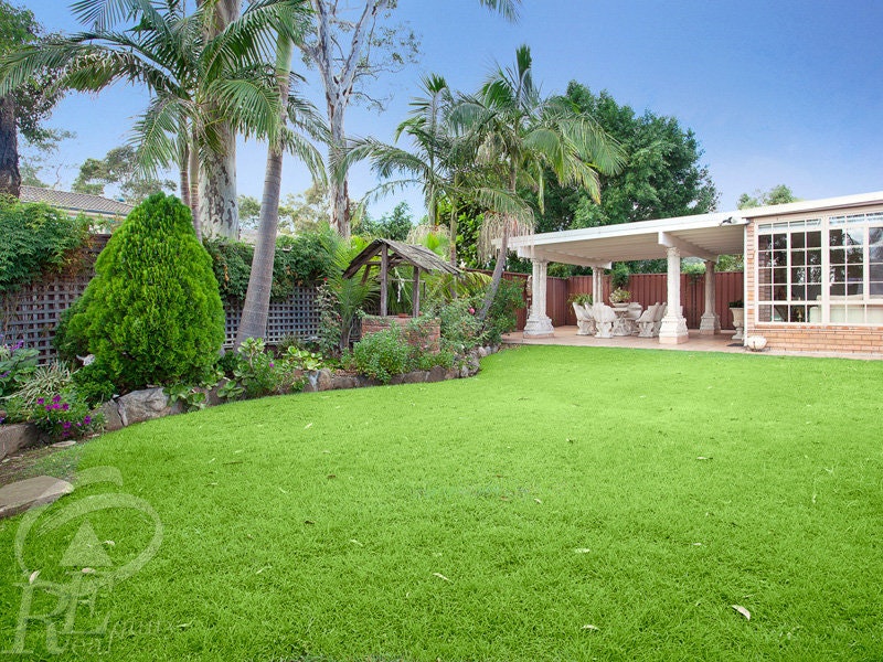 Image of grass