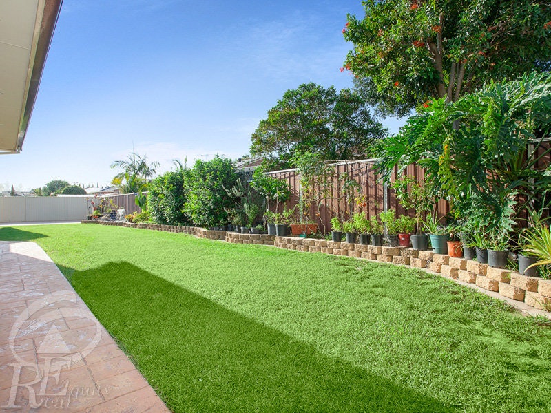 Image of grass