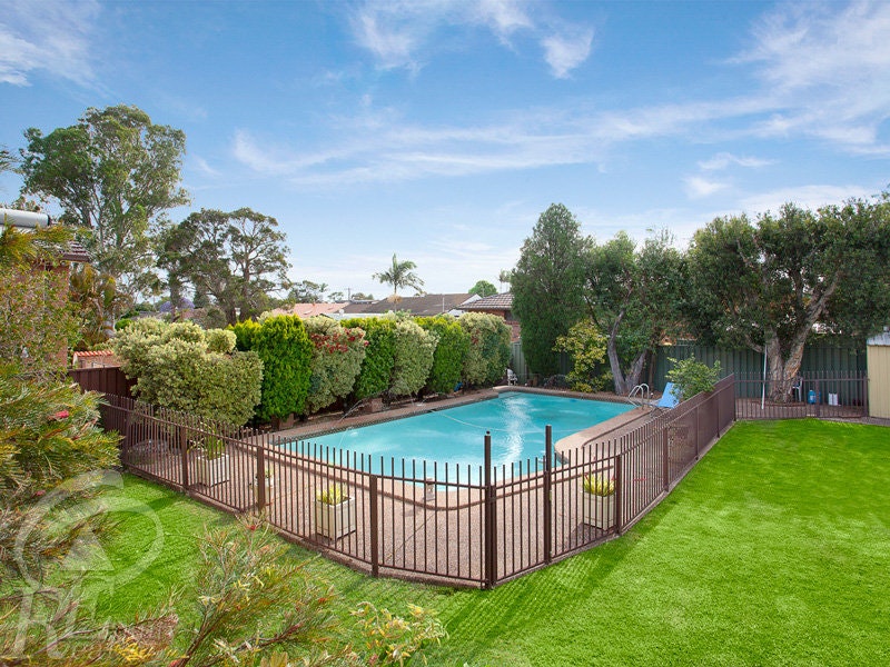 Image of backyard