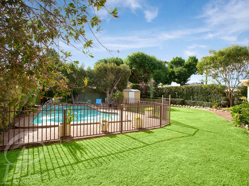 Image of backyard