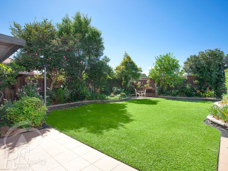 Image of backyard