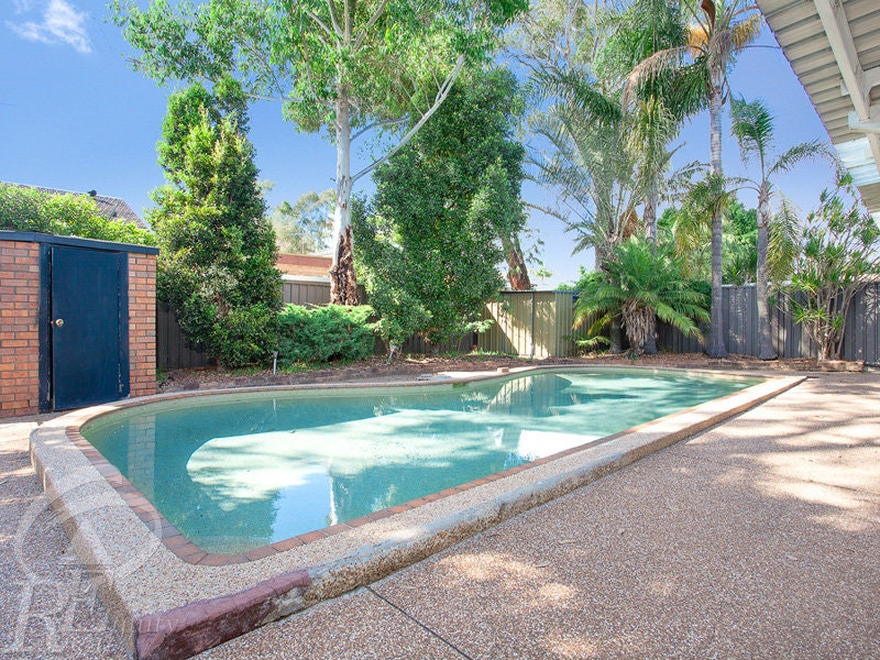 Image of backyard