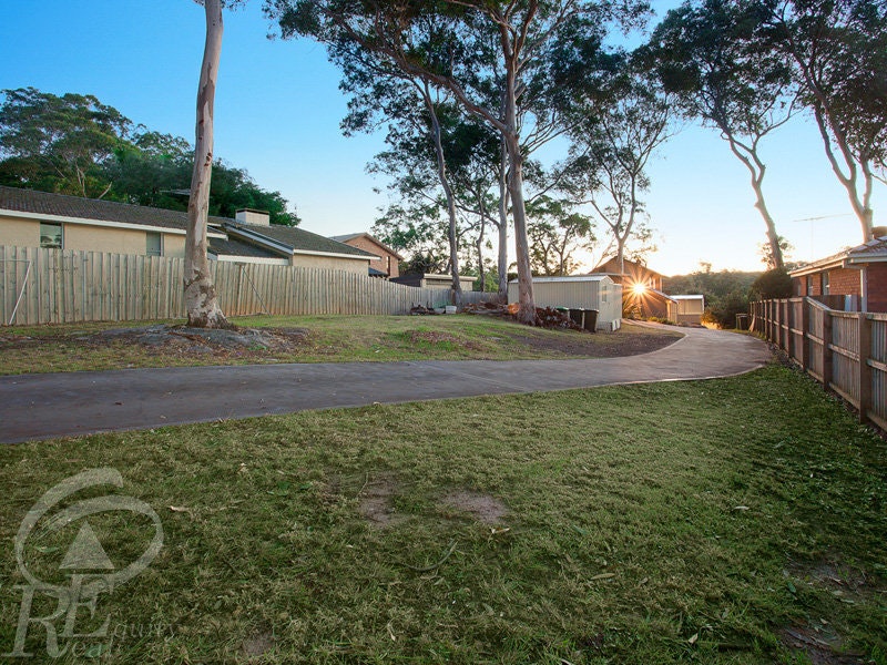 Image of backyard