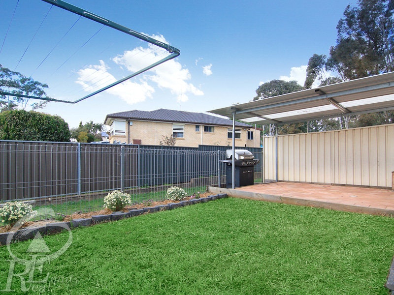 Image of backyard