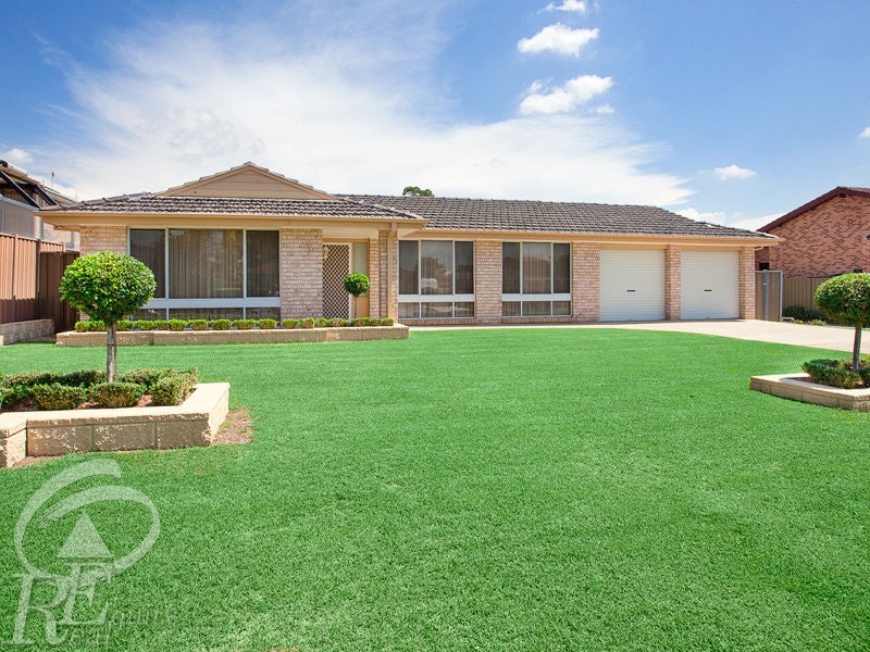 Image of grass
