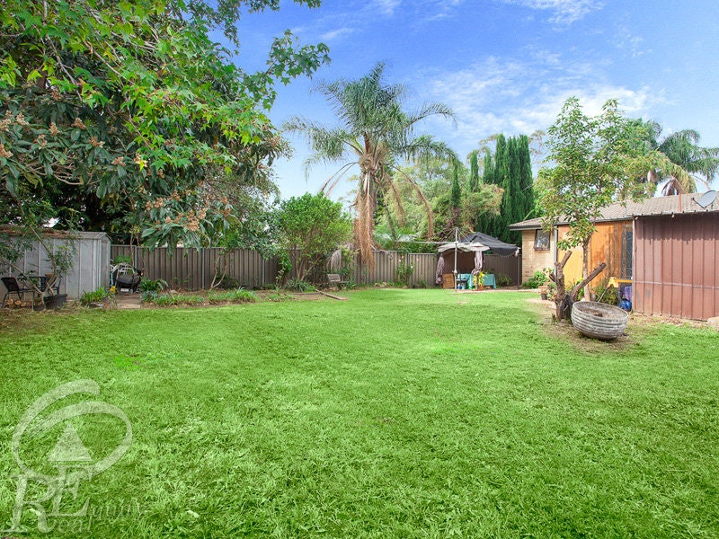 Image of backyard