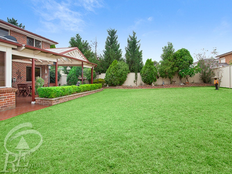 Image of grass