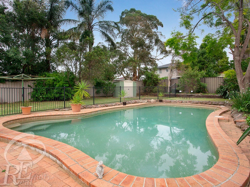 Image of backyard