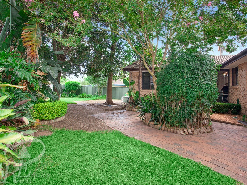 Image of backyard