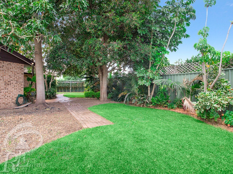 Image of backyard