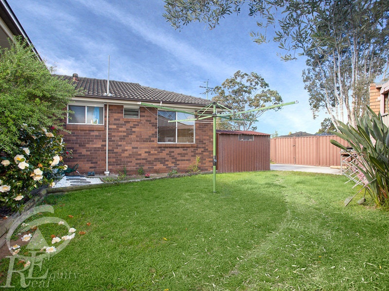 Image of backyard