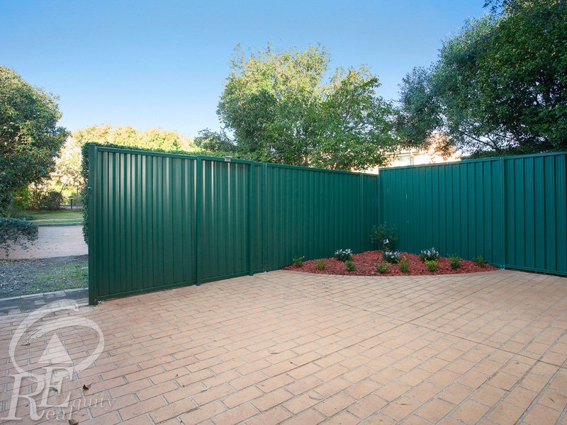 Image of backyard