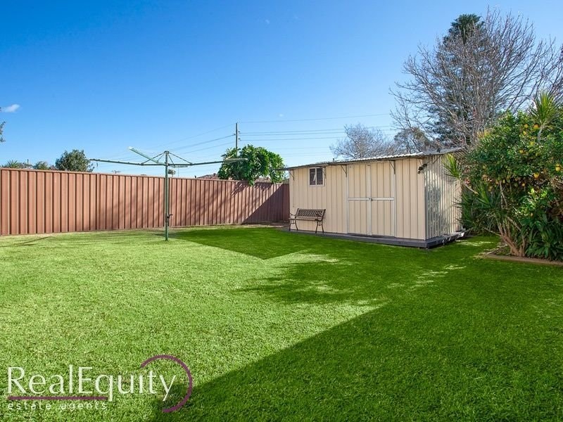 Image of backyard