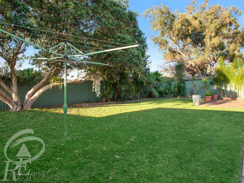 Image of grass
