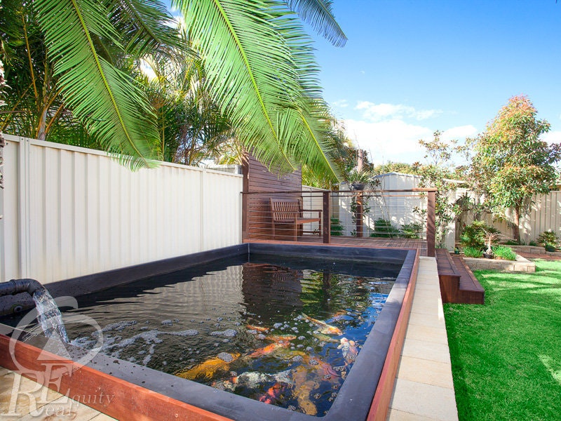Image of backyard