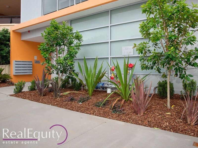 Image of backyard