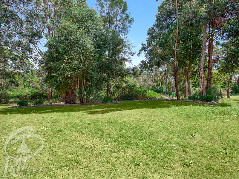 Image of grass