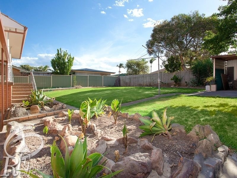 Image of backyard