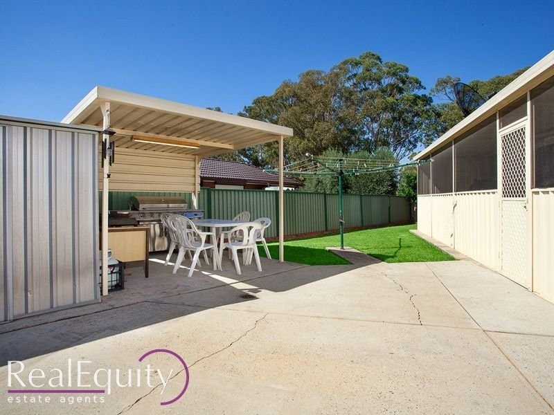 Image of backyard