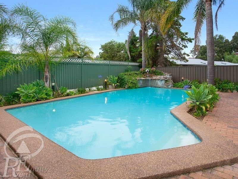 Image of backyard