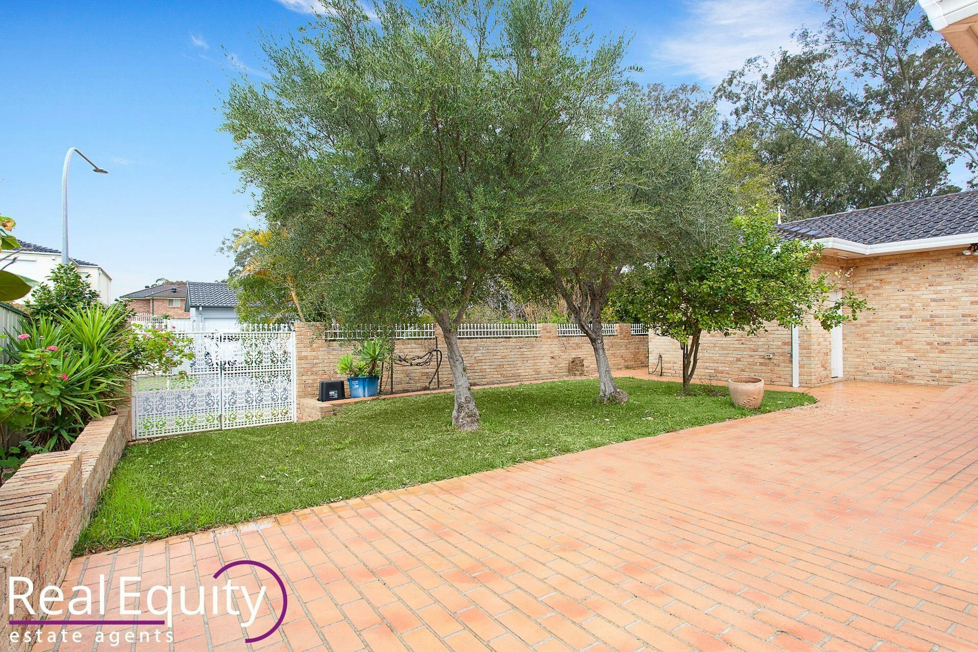 Image of backyard