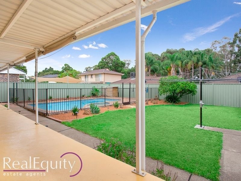 Image of backyard