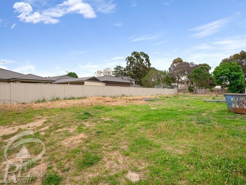 Image of backyard