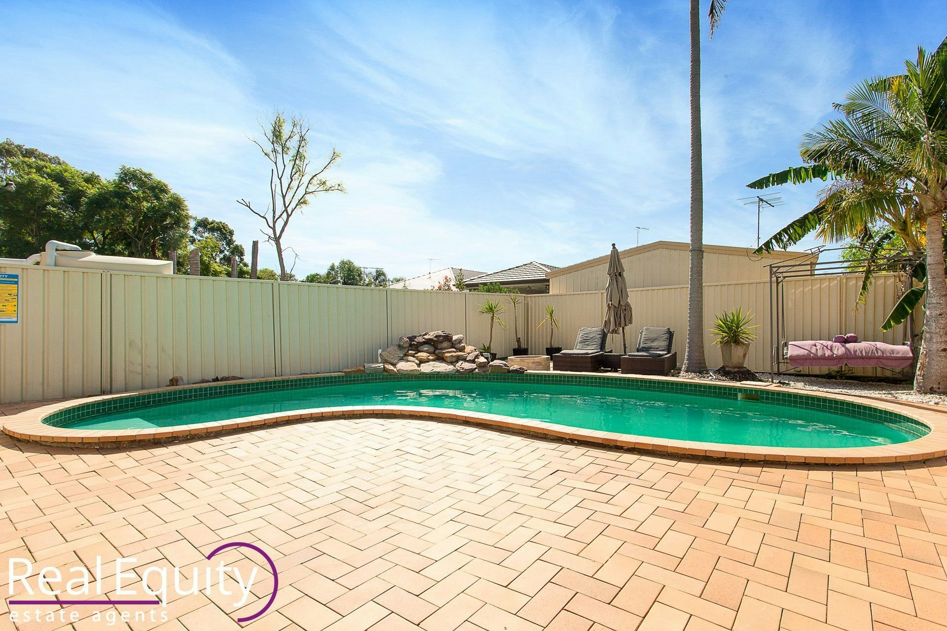 Image of backyard