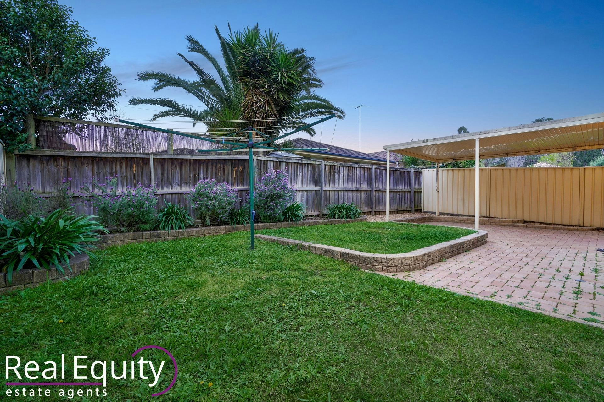 Image of backyard
