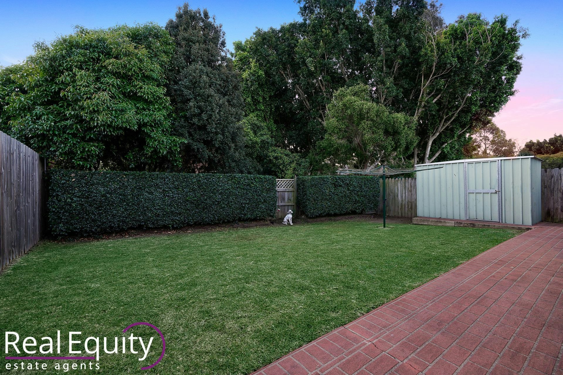 Image of backyard