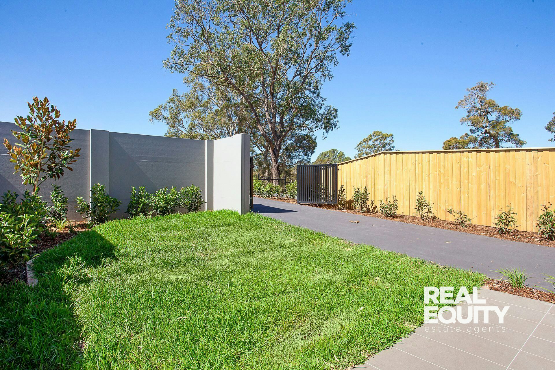 Image of backyard