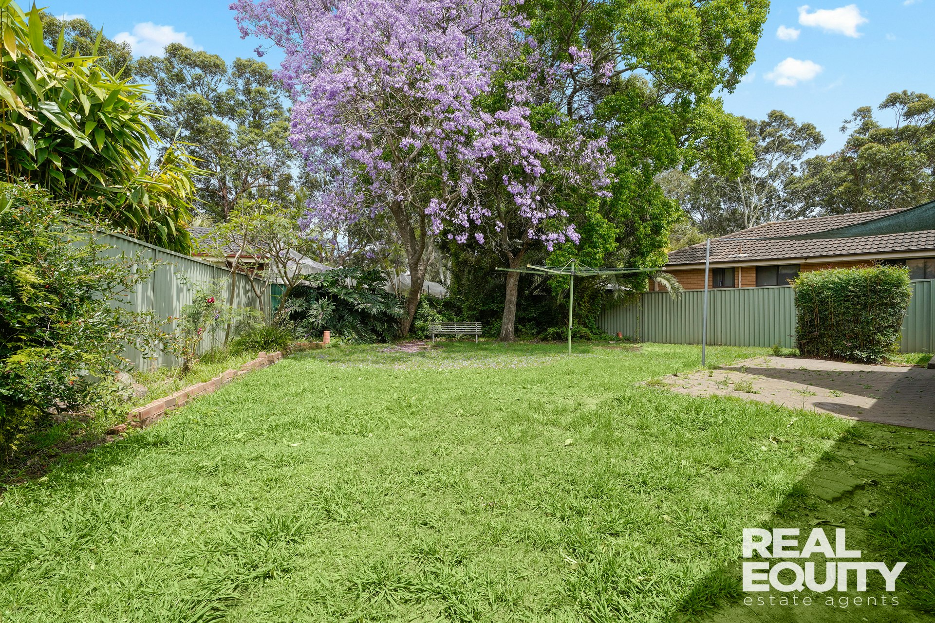 Image of backyard