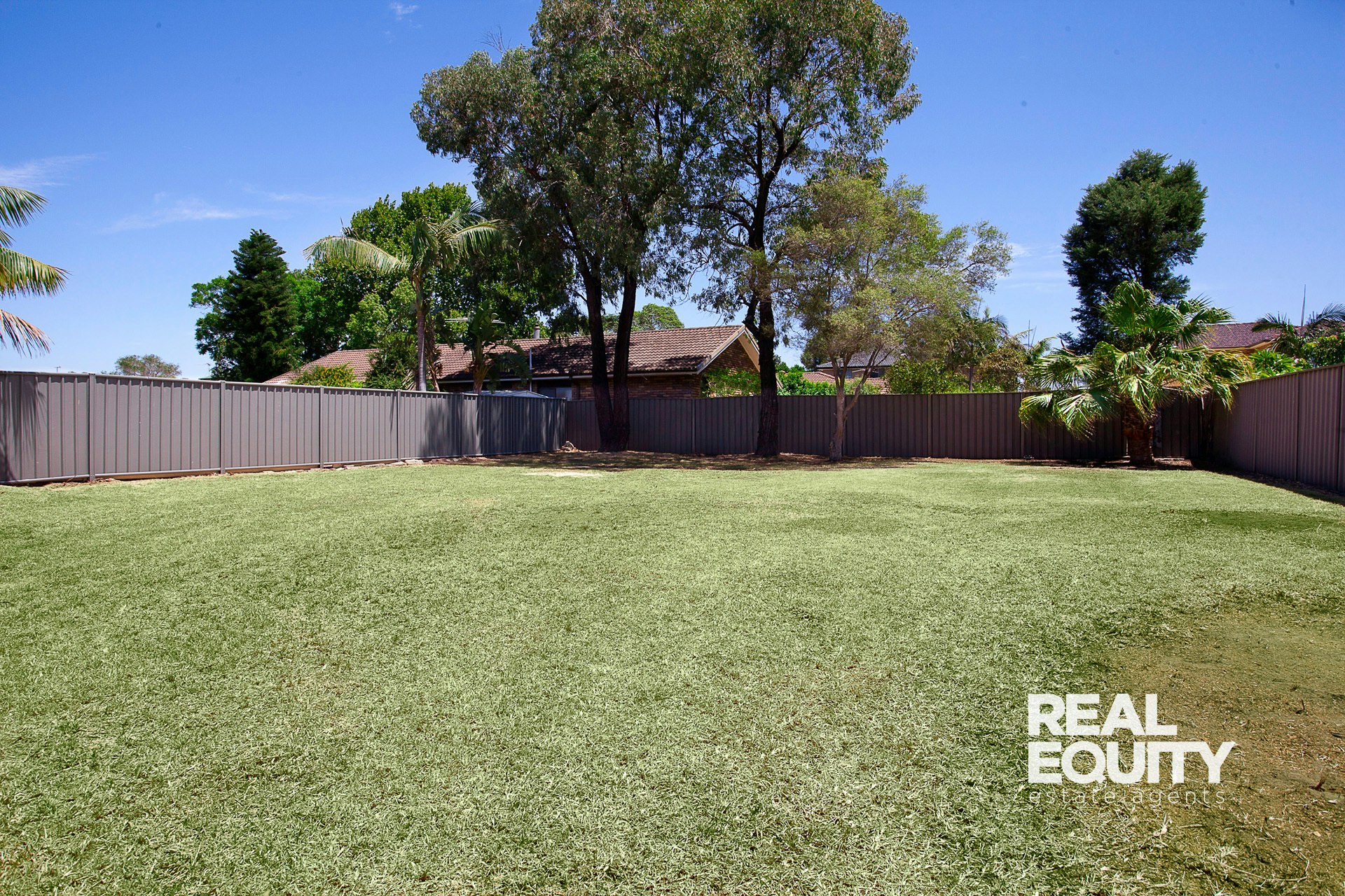 Image of backyard