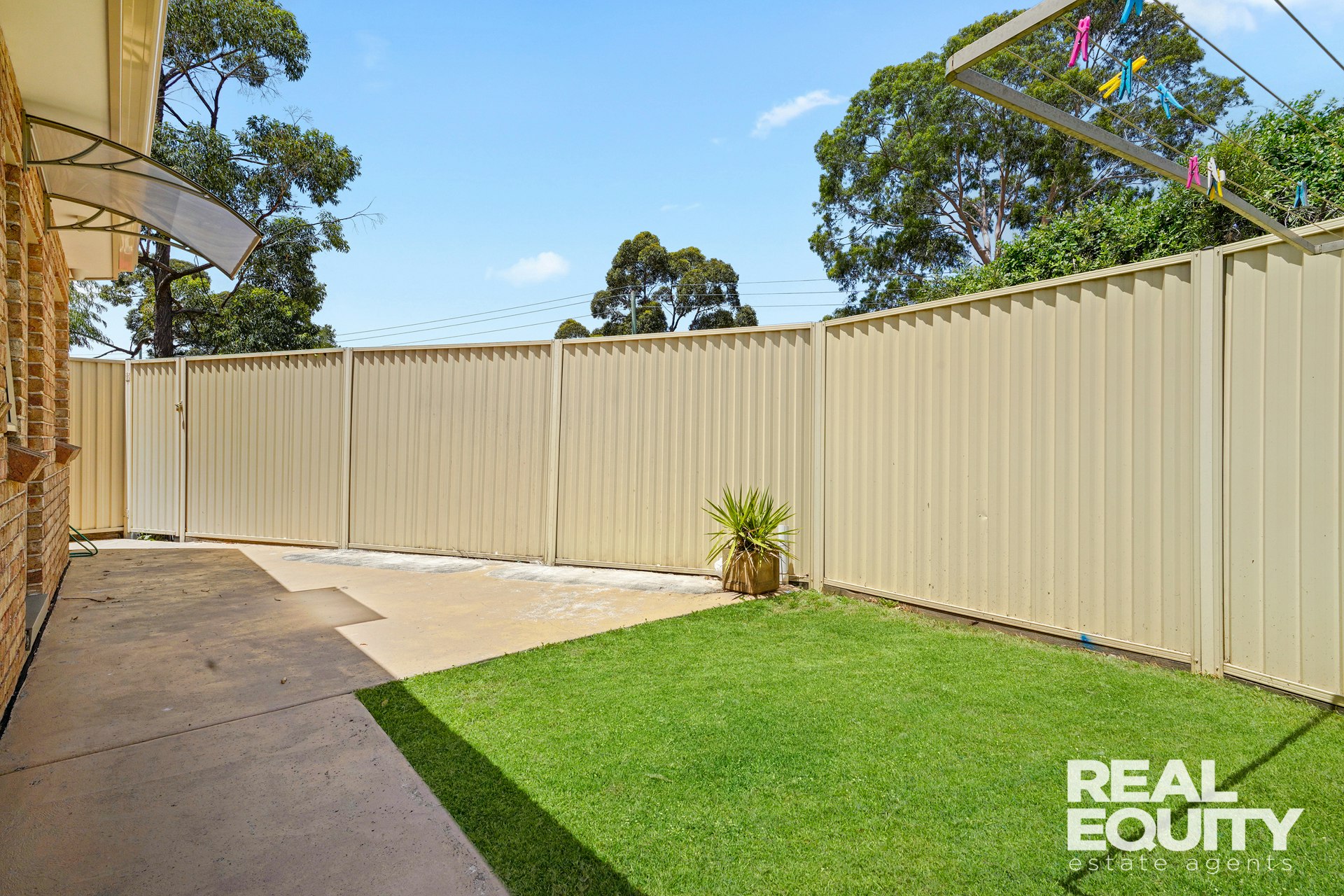 Image of backyard