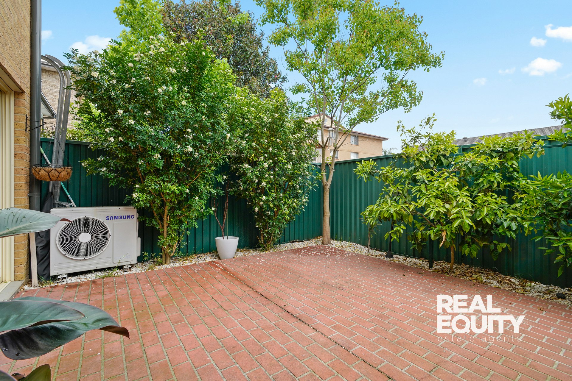 Image of backyard