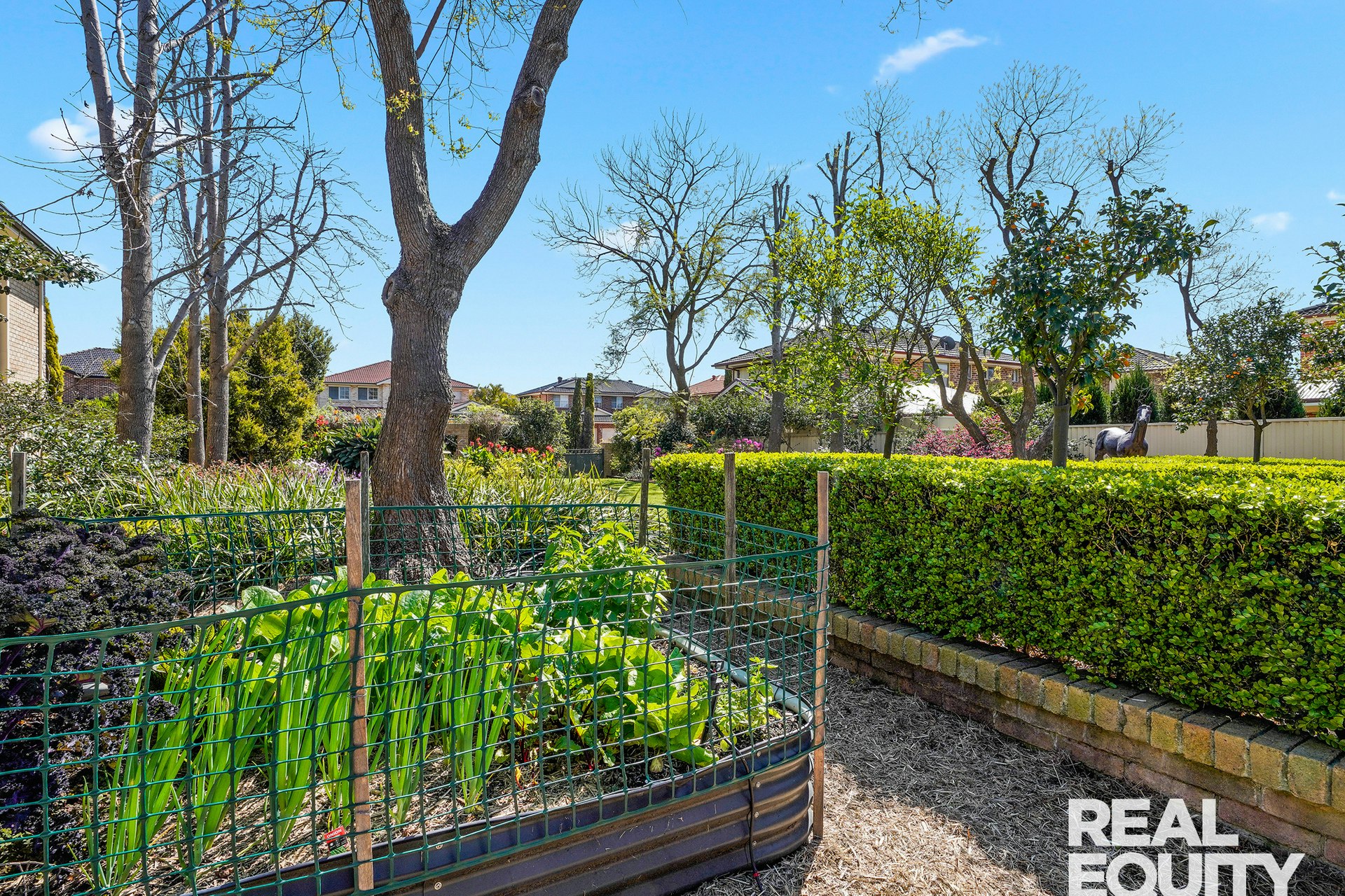 Image of garden
