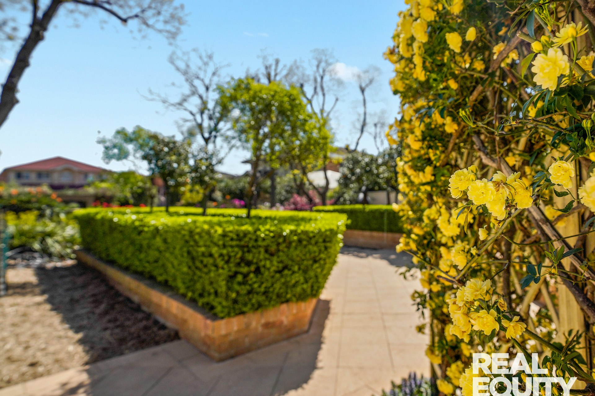 Image of path